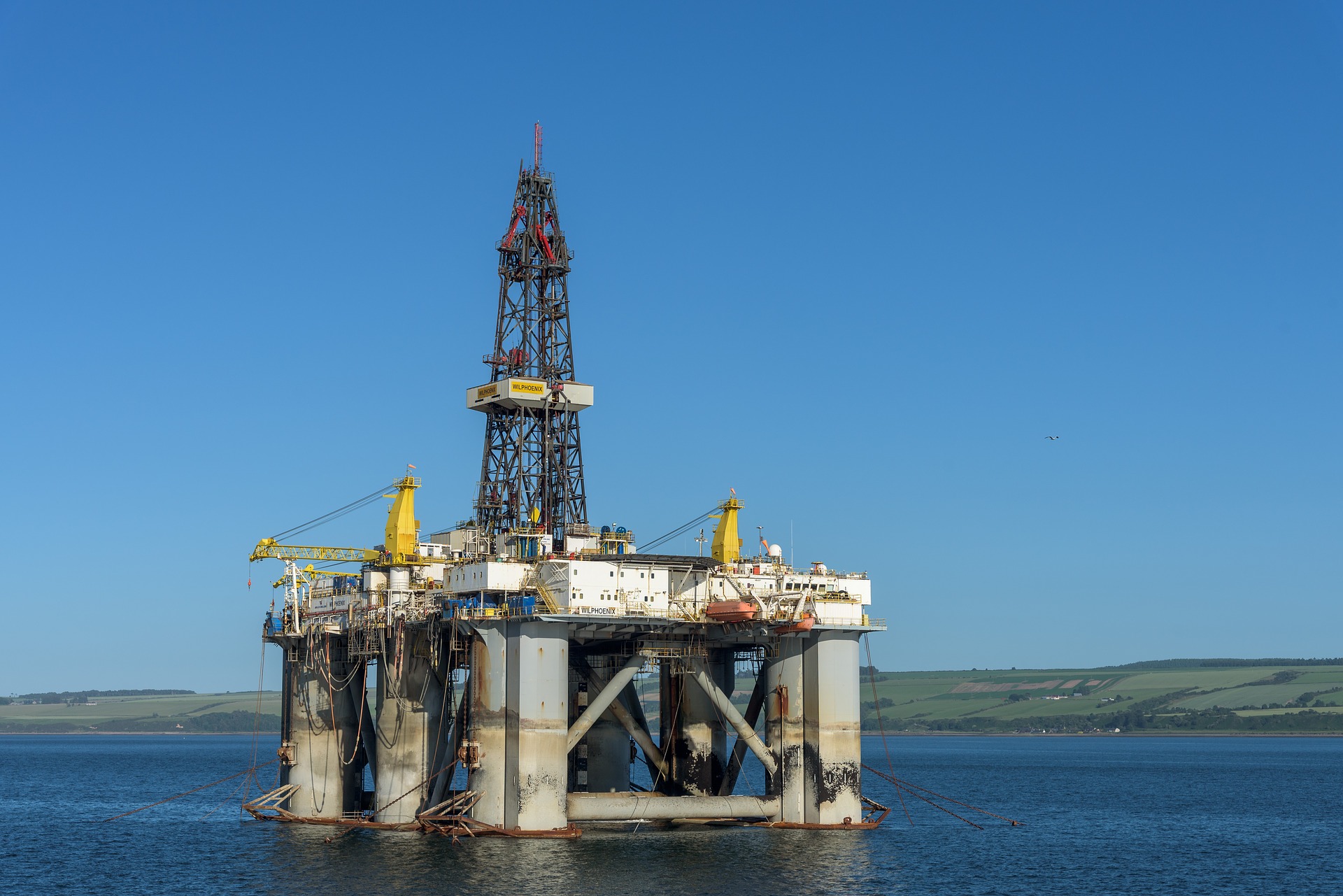 Carousel Image